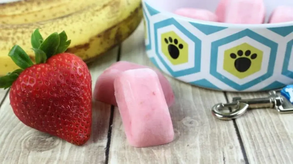 Frozen Yogurt Dog Treats