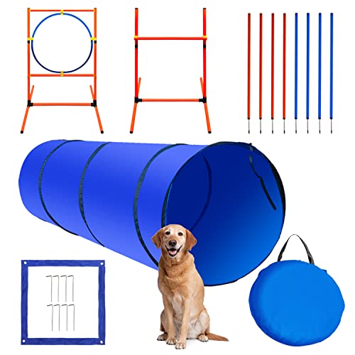 Outdoor Dog Agility Obstacle Course