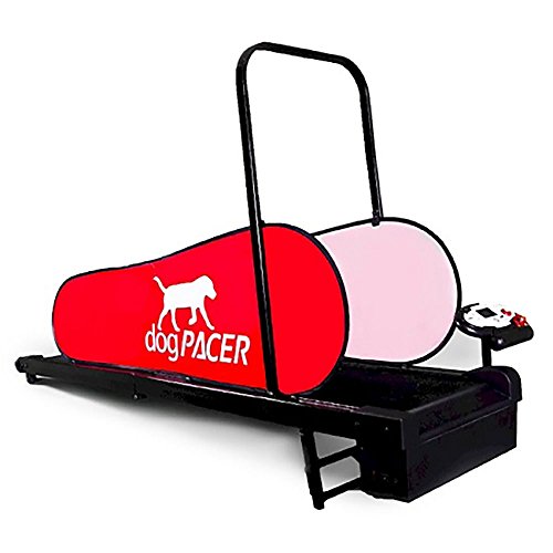 Dog Pacer Treadmill