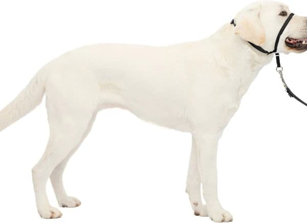 PetSafe Gentle Leader No-Pull Dog Headcollar