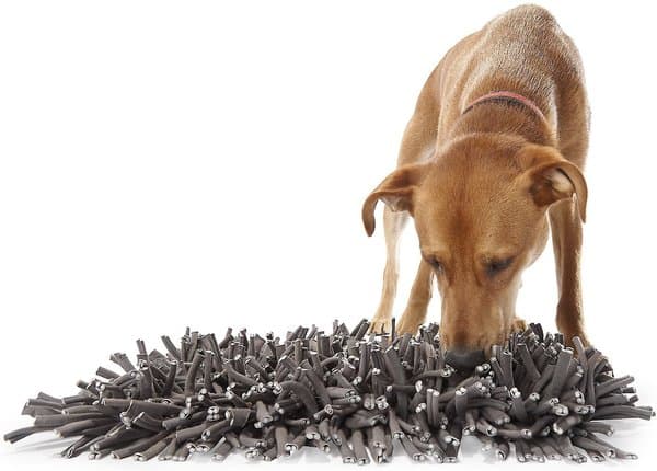 Paw 5 Dog Snuffle Mat