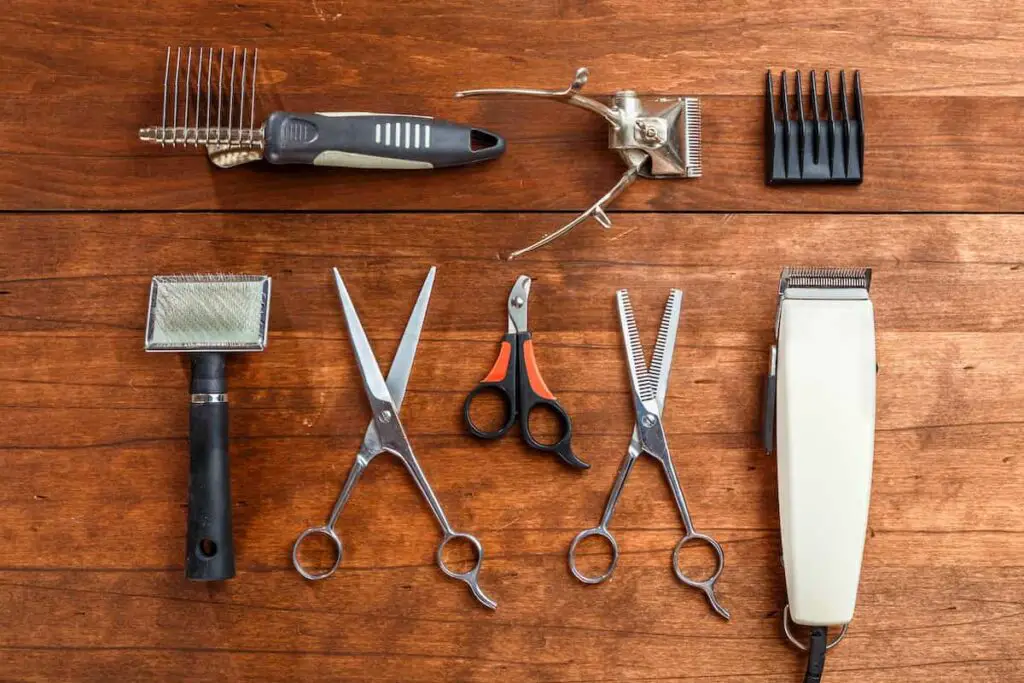 A dog grooming tools kit.