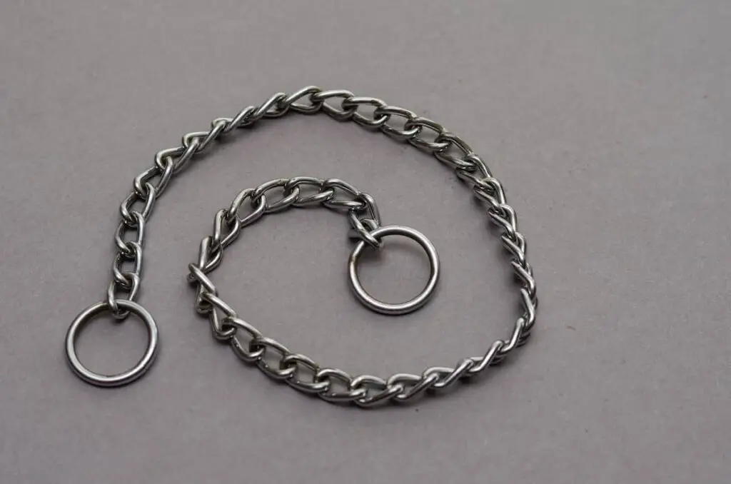 A metal link slip or choke collar.