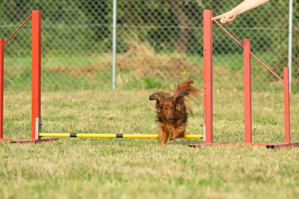 Training
