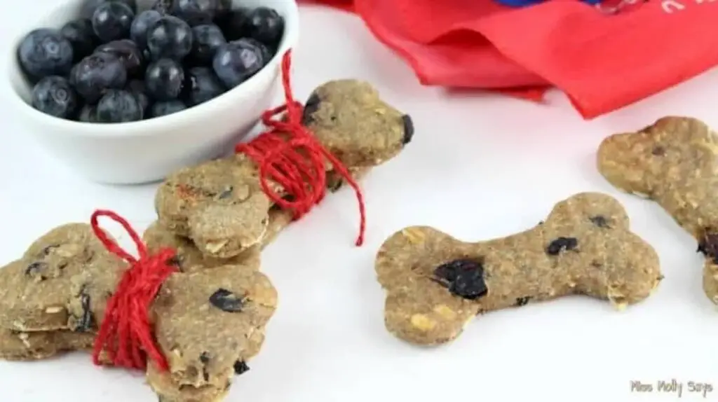 Blueberry Banana Dog Biscuits