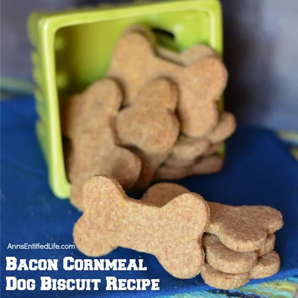 Bacon cornmeal dog biscuits from annsentitledlife.com